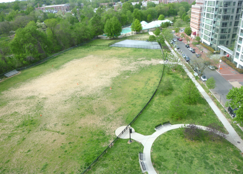 bare dirt field, 2016
