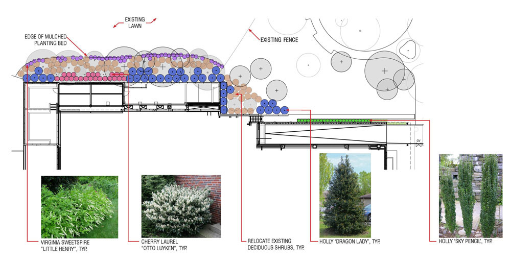 Rear-field landscape plan