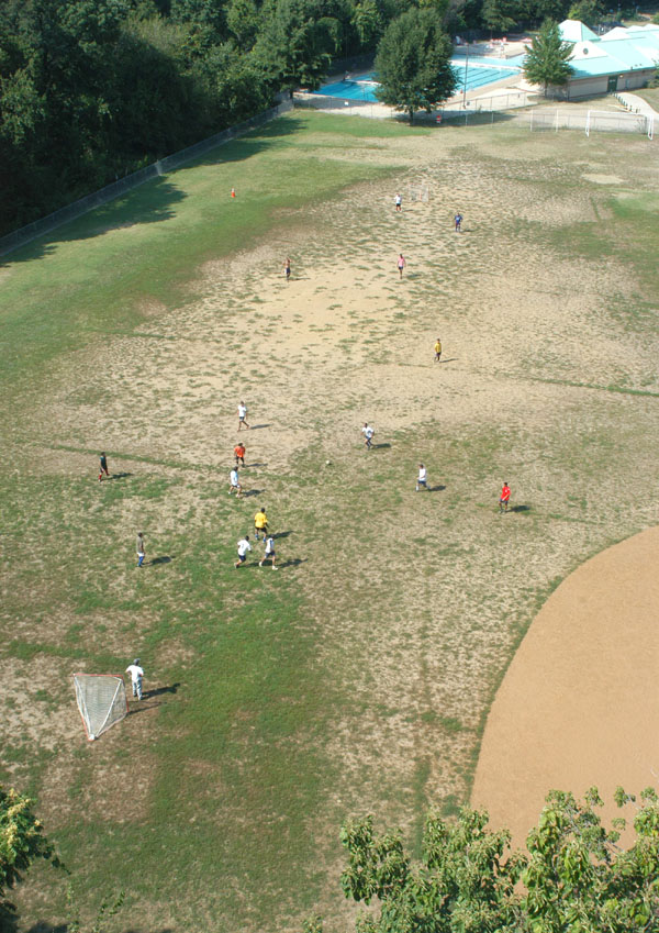 Field photo 2008