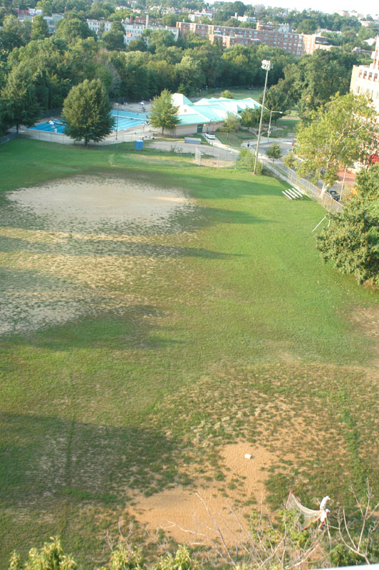 Field Photo, August 2009