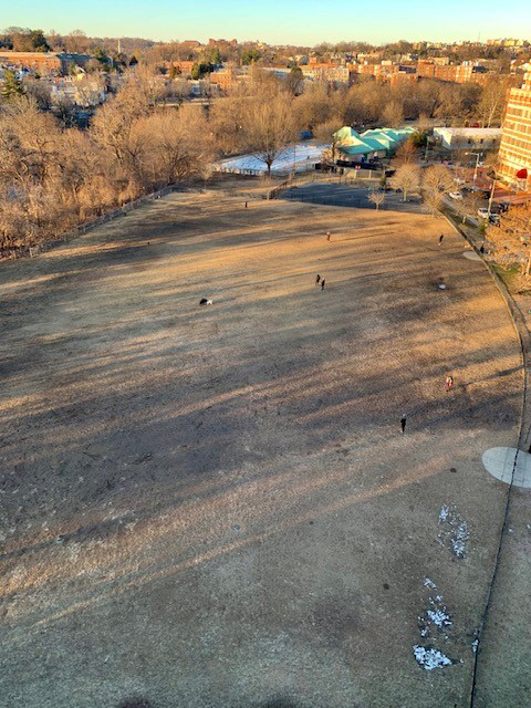 Birdseye view of field in winter