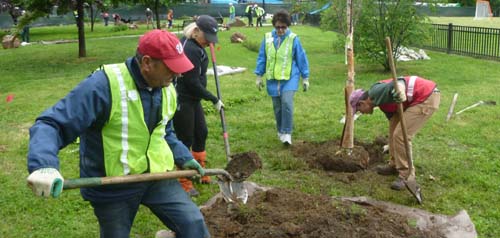Tree-planting