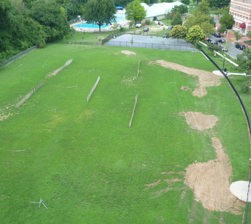 holes in field